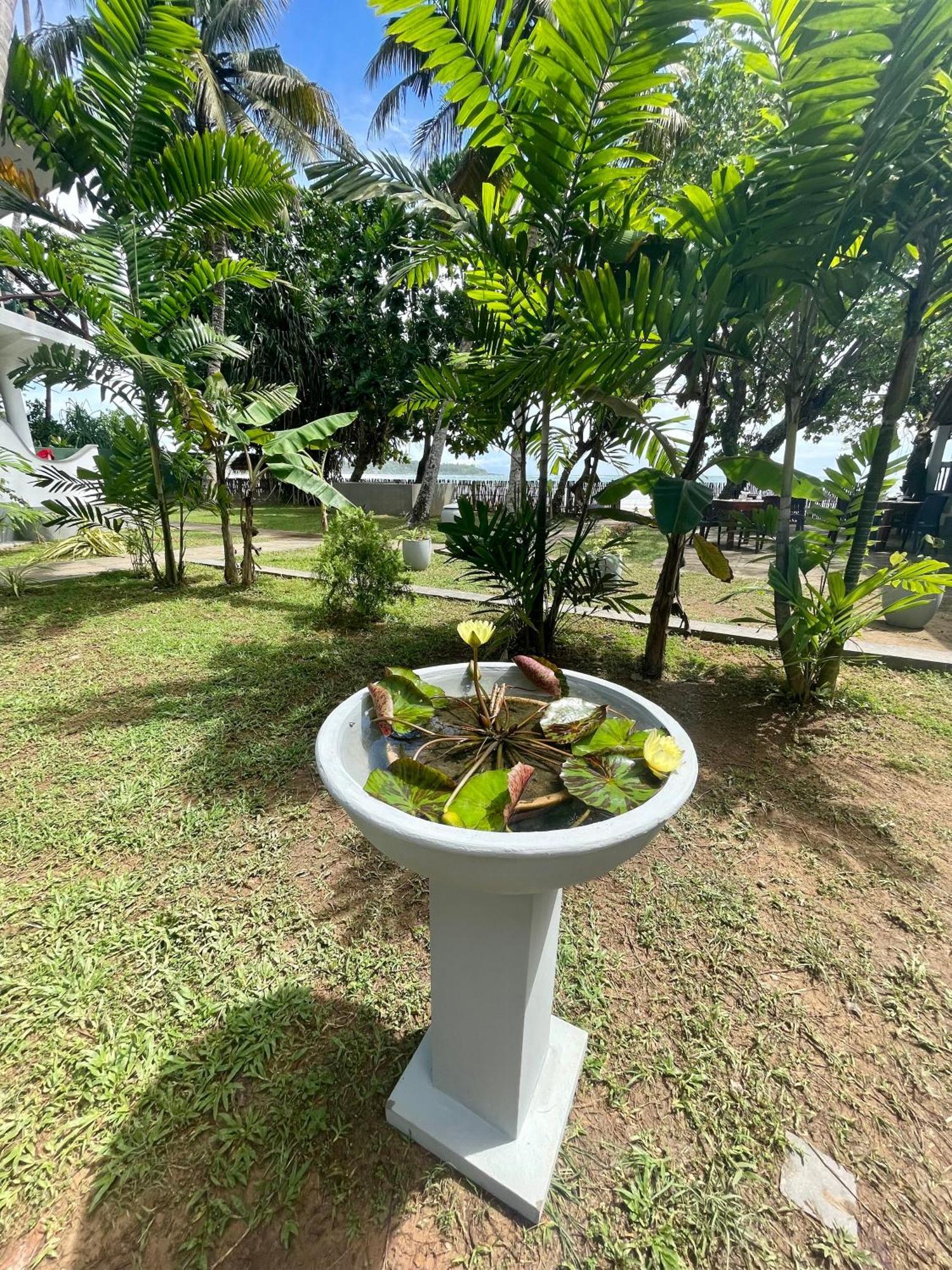 Casa Smeralda Dikwella Ngoại thất bức ảnh